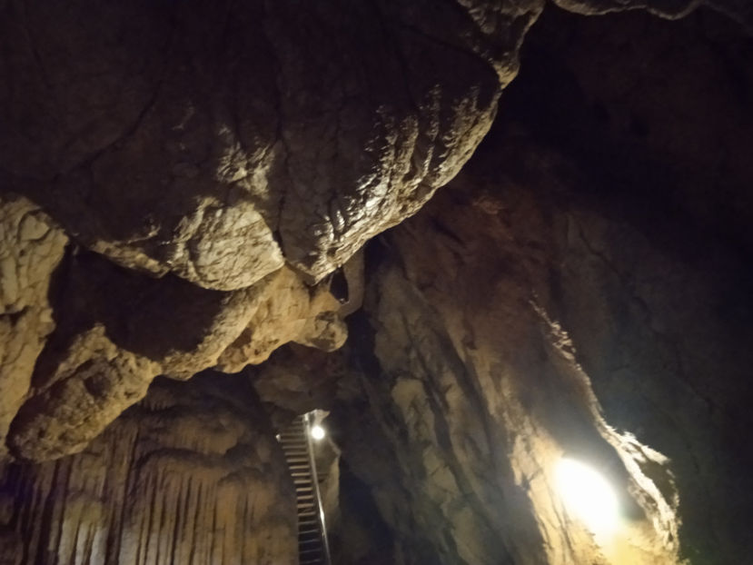  - La Peștera Vadu Crișului