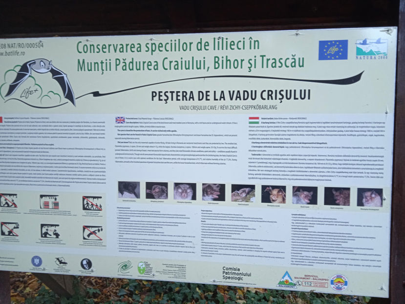  - La Peștera Vadu Crișului