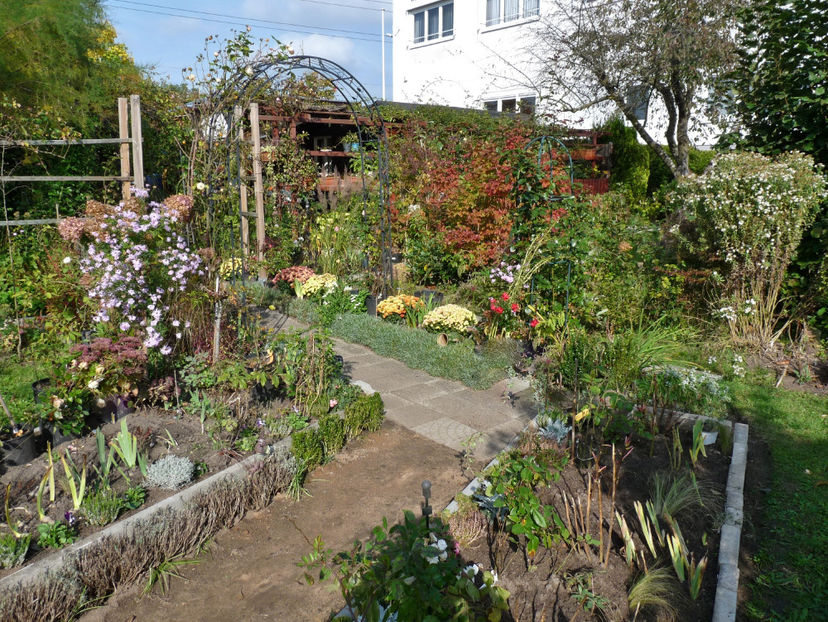  - 2021 - 03 - Toamna