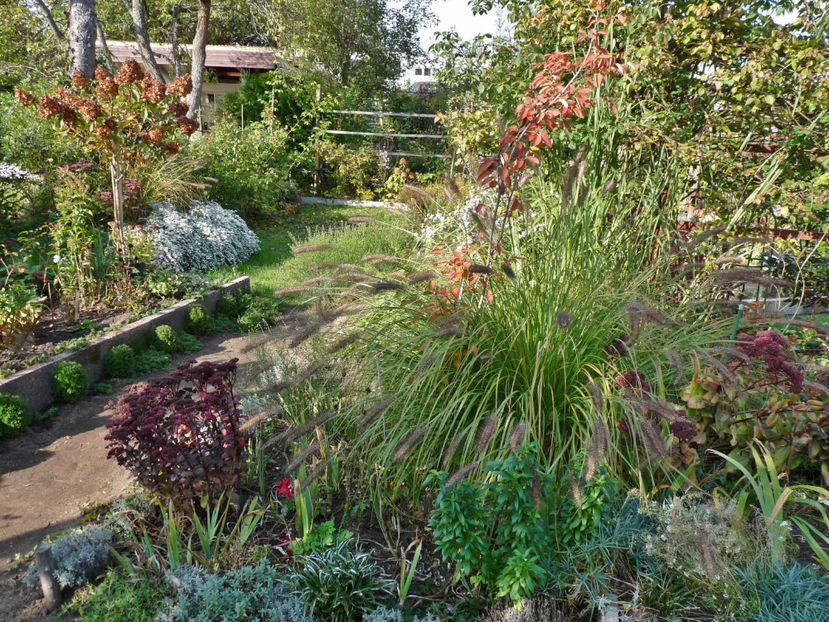  - 2021 - 03 - Toamna