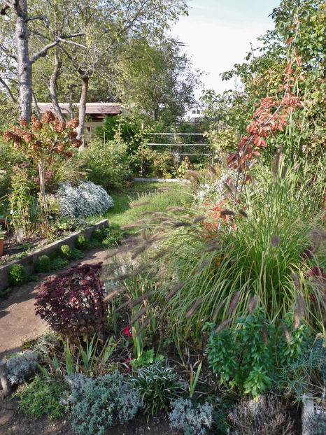  - 2021 - 03 - Toamna