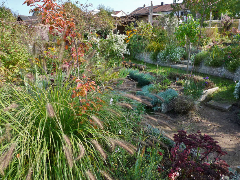  - 2021 - 03 - Toamna