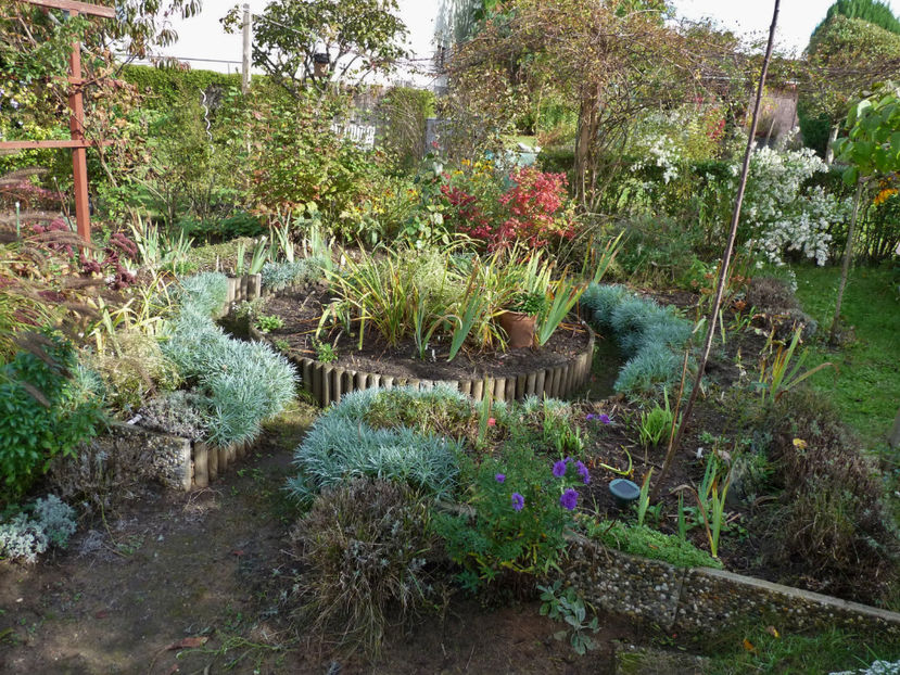  - 2021 - 03 - Toamna