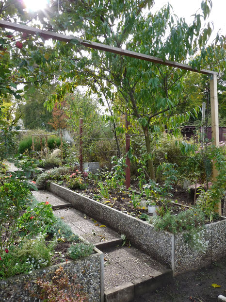  - 2021 - 03 - Toamna