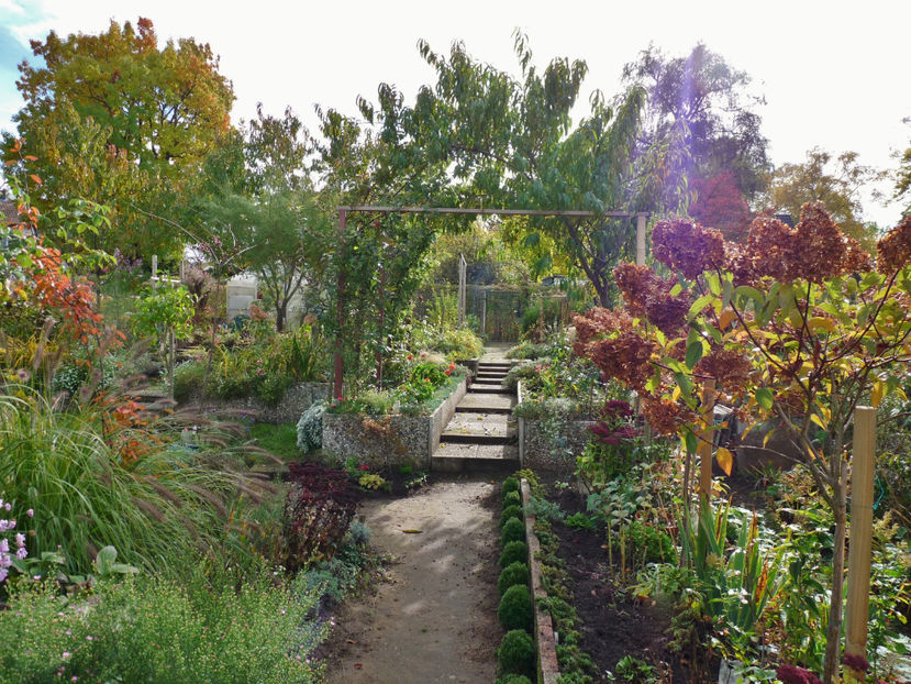  - 2021 - 03 - Toamna