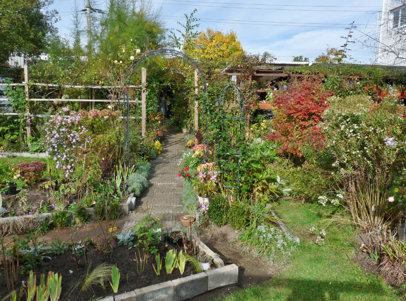  - 2021 - 03 - Toamna