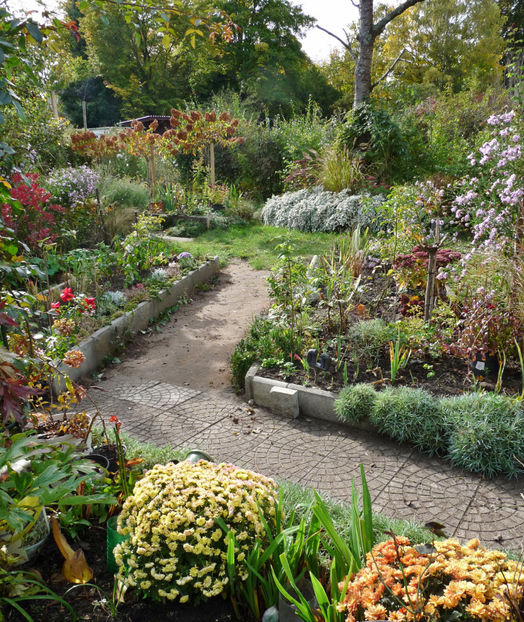  - 2021 - 03 - Toamna