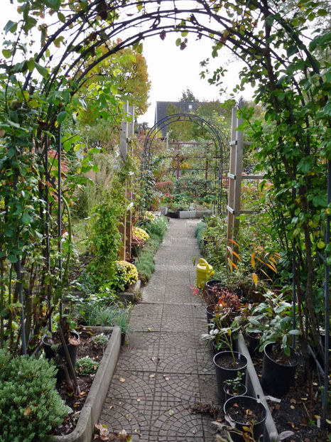  - 2021 - 03 - Toamna