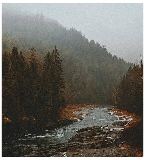 ♡ Oᥴtobᥱr 25 » „Isn t she lovely? Isn t she wonderful? Isn t she precious?” - Tomnatic și nostalgic