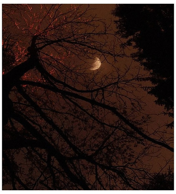♡ Oᥴtobᥱr 27 » „Night after night you fall asleep on me. I m praying that I don t go back - Tomnatic și nostalgic