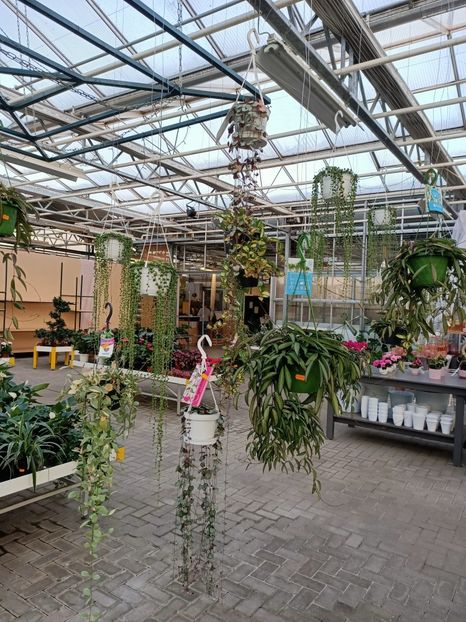 Img.2021.10.28 - Magazinul