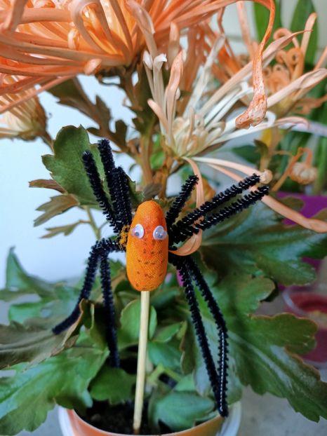  - 1 Achiziție nouă