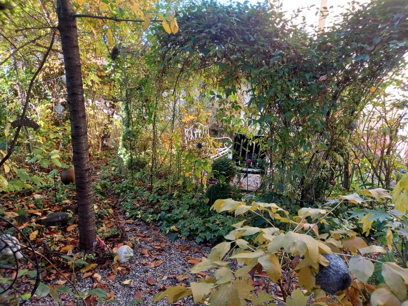 29.10.2021 - Grădina 2021 continuare 3