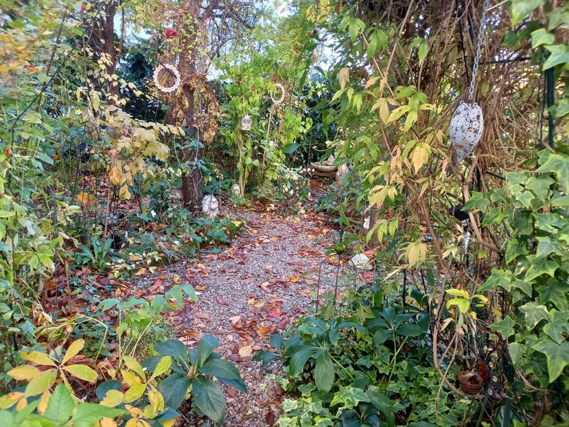  - Grădina 2021 continuare 3