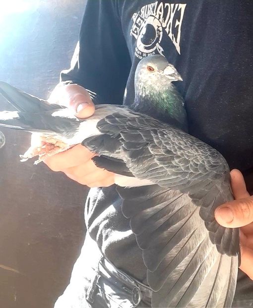 Screenshot_20211028-122141_Gallery - 2021