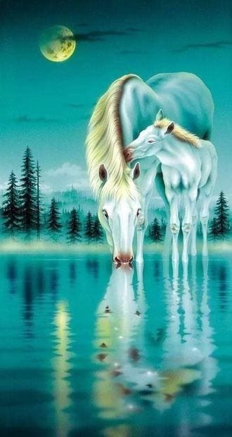  - Cai animale nobile