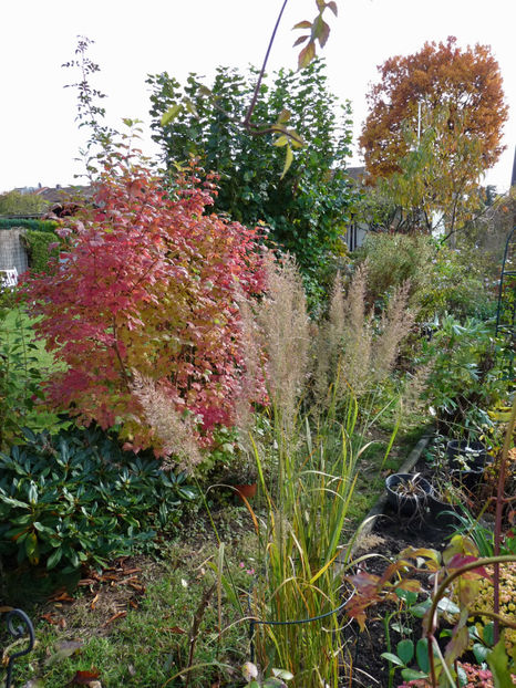  - 2021 - 03 - Toamna