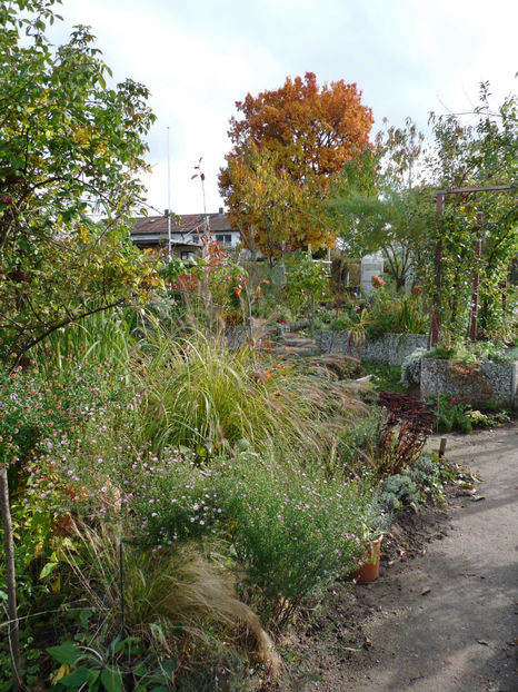  - 2021 - 03 - Toamna