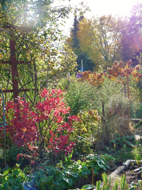  - 2021 - 03 - Toamna