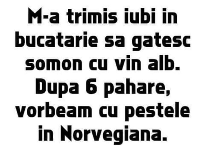  - Divertisment 5
