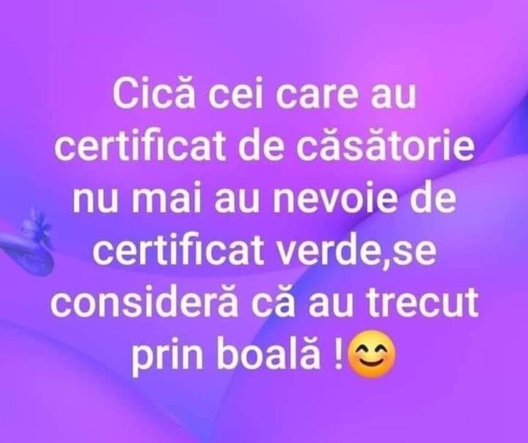  - Divertisment 5