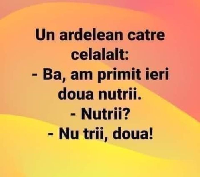  - Divertisment 5