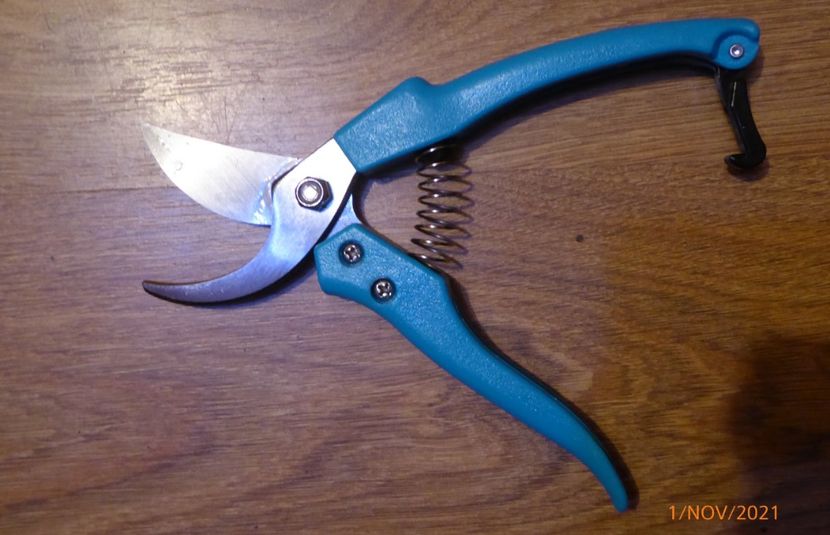  - Foarfecă Malelion