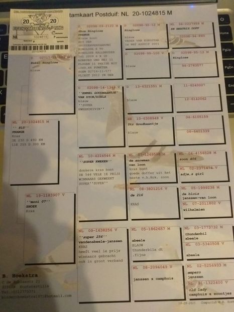 15ped - Achizitii porumbei -2021