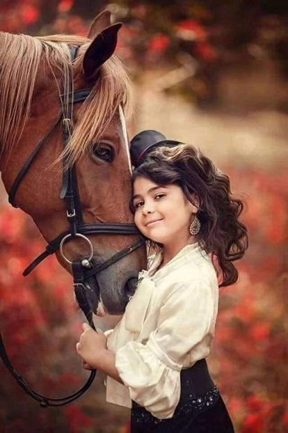  - Cai animale nobile
