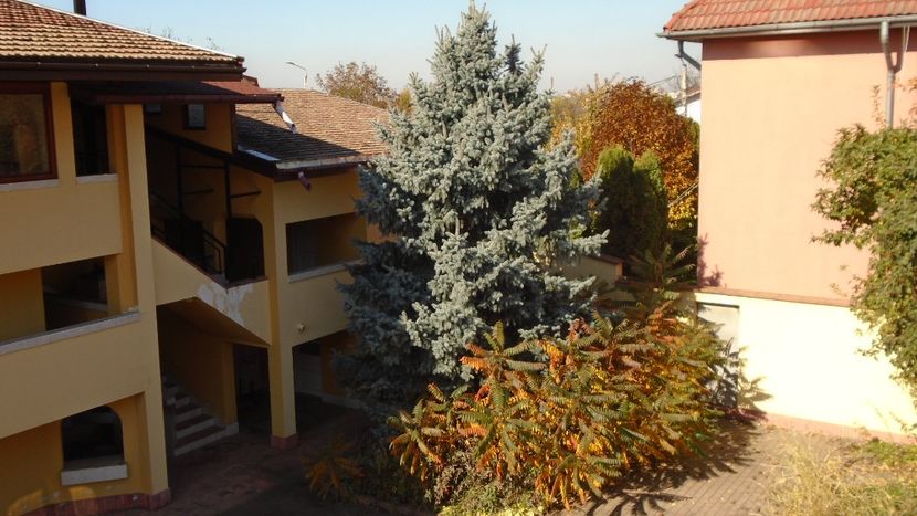 Forme si culori la sfarsitul lunii octombrie - Toamna 2020-2021-2022-2023