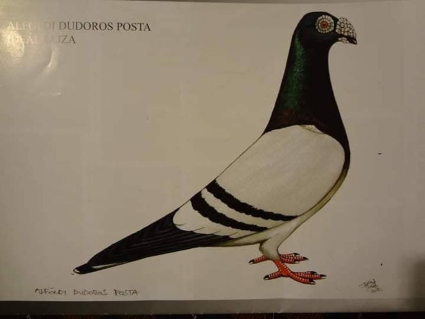  - VOIAJORI TIP VECHI