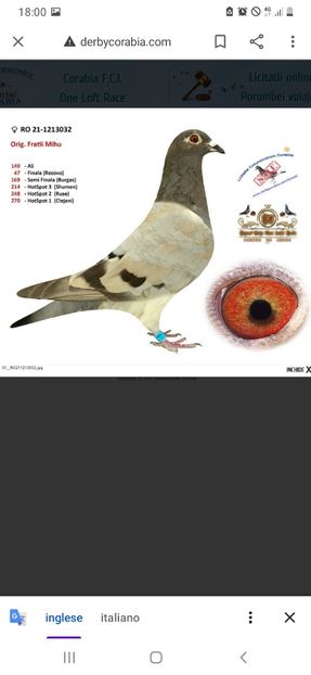 Screenshot_20211031-180029_Google - Rezultate 2021