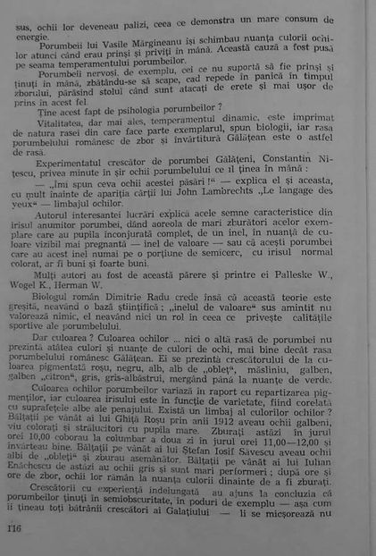 received_214389674086383 - 04 Arhiva materiale jucător de galați