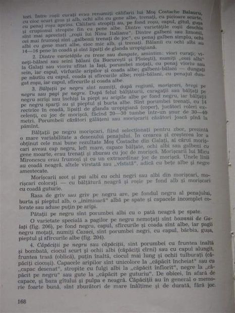 received_1519596355040807 - 04 Arhiva materiale jucător de galați