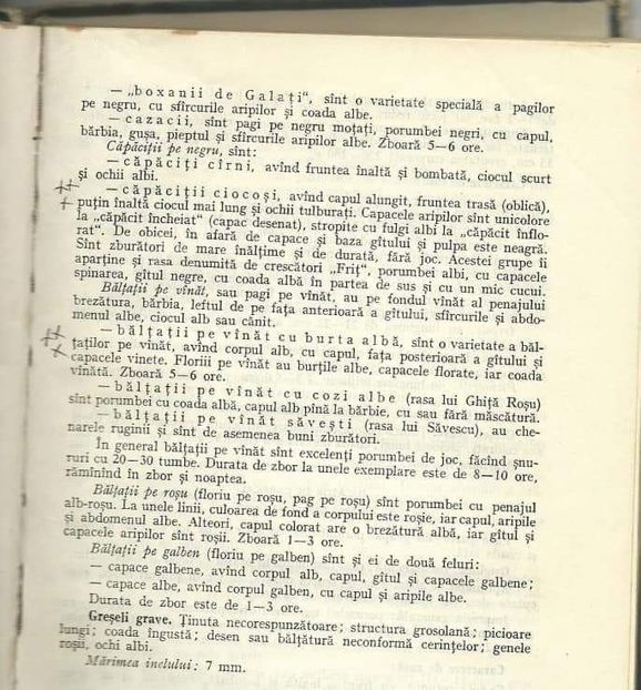 received_568523030864087 - 04 Arhiva materiale jucător de galați