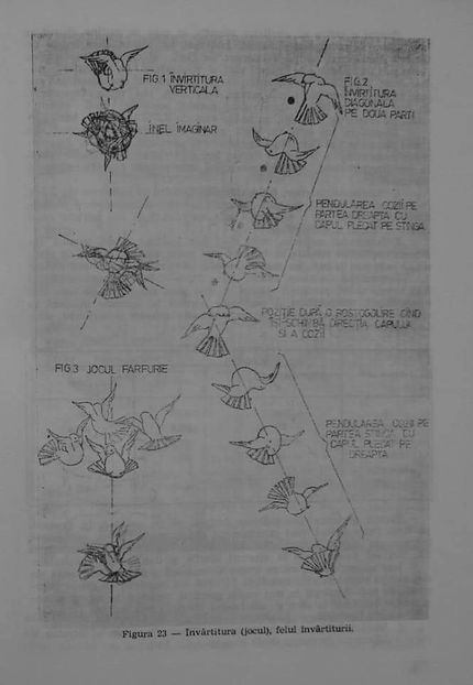 received_402280467937400 - 04 Arhiva materiale jucător de galați