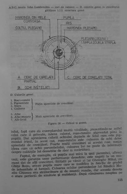 received_1225543817951287 - 04 Arhiva materiale jucător de galați