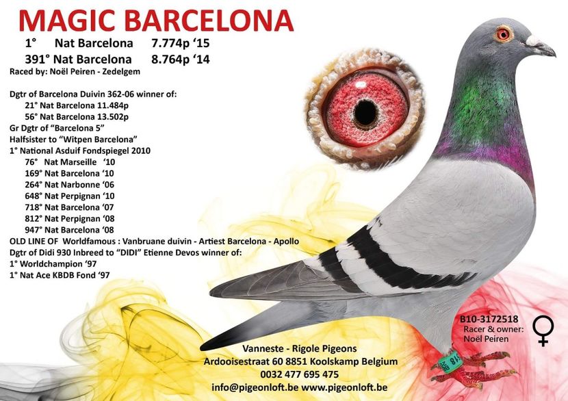 MAGIC BARCELONA - DANNY - Vanneste Rigole the line Magic Barcelona 1 nat Barcelona 2015