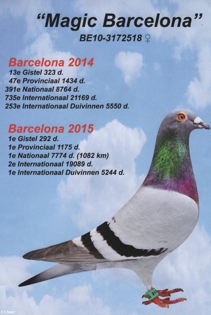 NoelPeirensMagicBarcelona001 - DANNY - Vanneste Rigole the line Magic Barcelona 1 nat Barcelona 2015