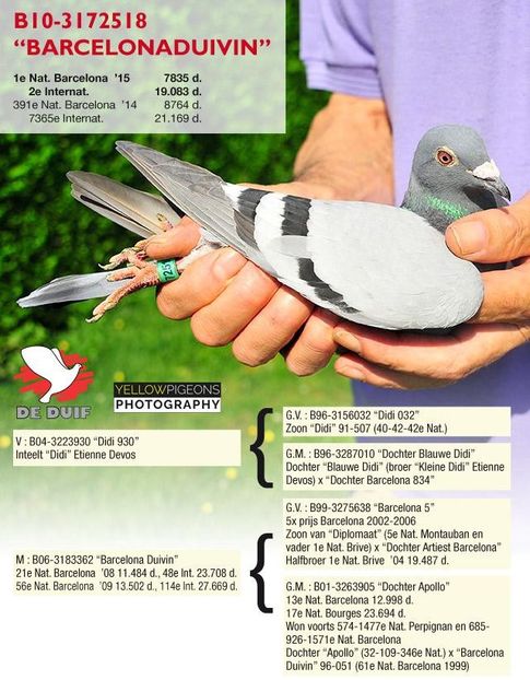 peiren-noelb10-3172518 - DANNY - Vanneste Rigole the line Magic Barcelona 1 nat Barcelona 2015