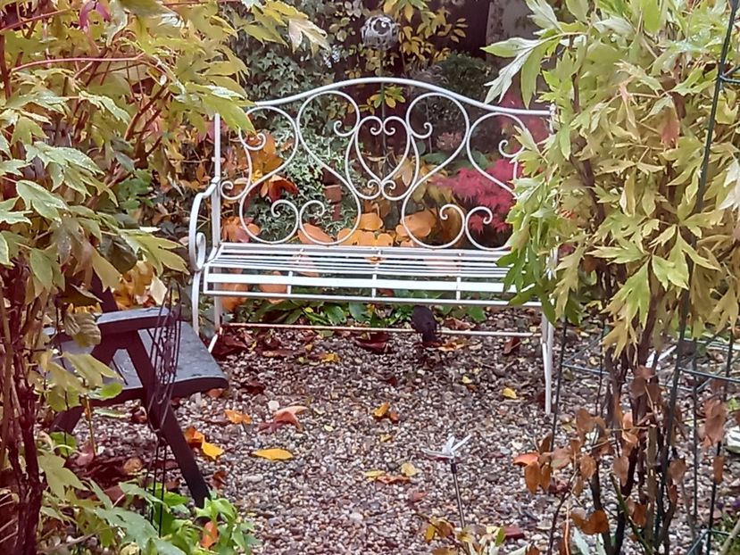  - Grădina 2021 continuare 3