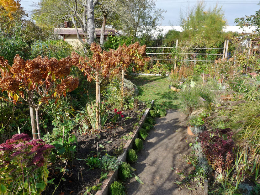  - 2021 - 03 - Toamna