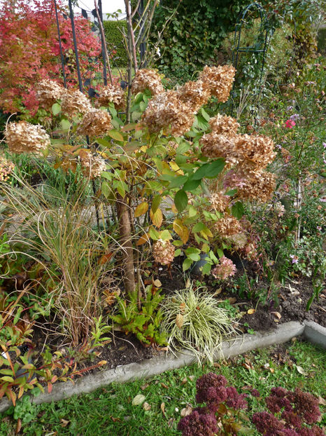  - 2021 - 03 - Toamna