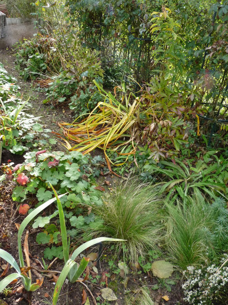  - 2021 - 03 - Toamna