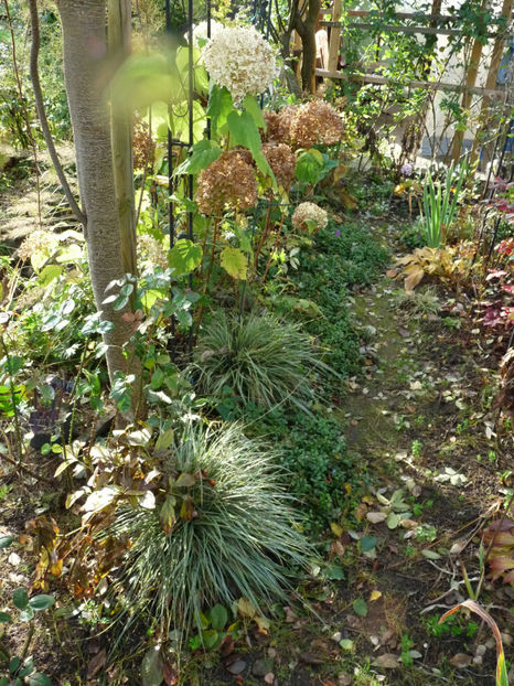  - 2021 - 03 - Toamna