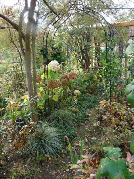  - 2021 - 03 - Toamna