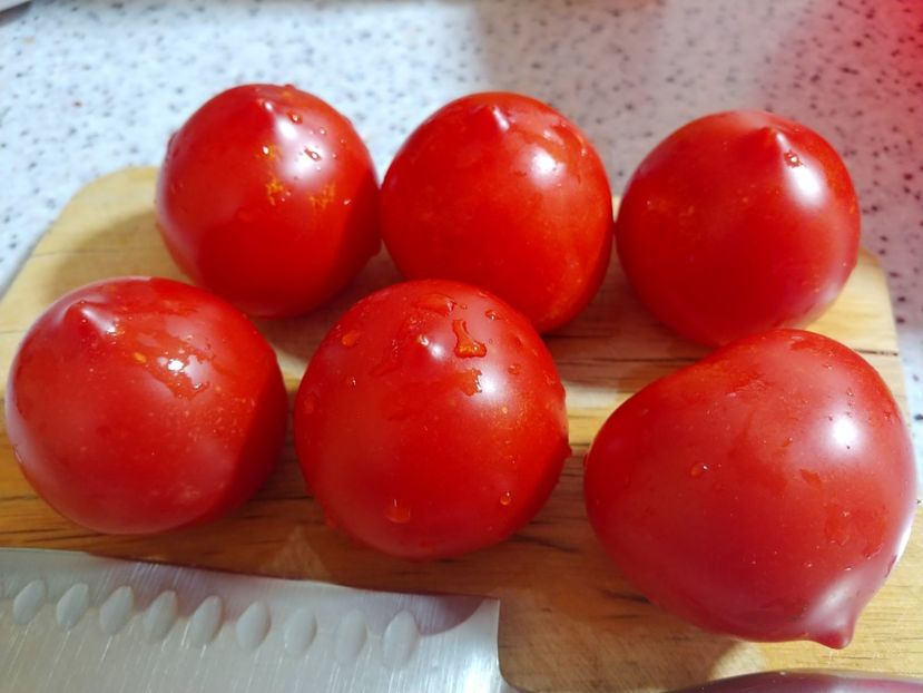 TSIFOMANDRA (11) - TSIFOMANDRA-COPACUL DE TOMATE