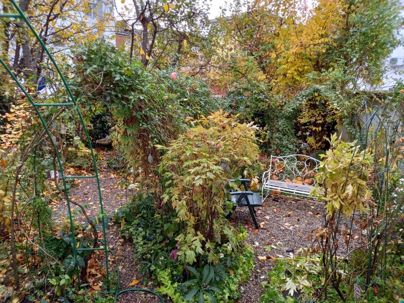 04.11.2021 - Grădina 2021 continuare 3