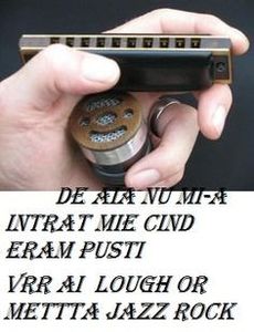  - ION DRAGOS SIRETEANU - cinta la muzicuta - harmonica - -sintetizatoare- EMO BLUES