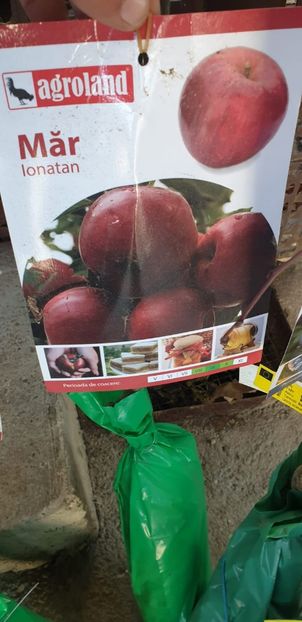 IMG-20211029-WA0002 - 093 GRADINA NOIEMBRIE 2O21